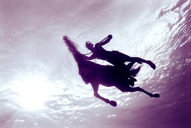 Original Horse Photography by Zena Holloway