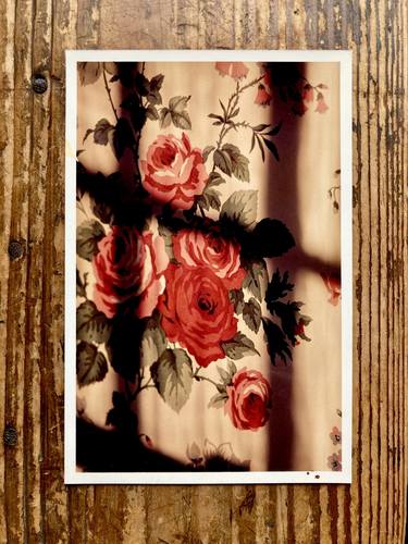 Photo Wall (Roses) thumb