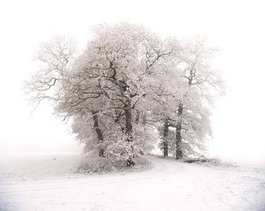 Original Landscape Nature Photography by Angus Taylor