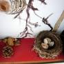 A natural  bird-nest with eggs shells and nuts  in a woodbox.