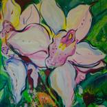 iris by Doug DeCarlo