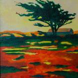 cypress by Doug DeCarlo