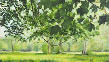 Original Realism Tree Paintings by Alan Perriman