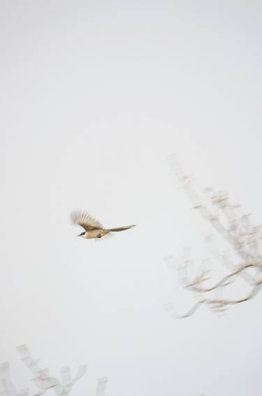 Original Nature Photography by Santiago García de Leaniz