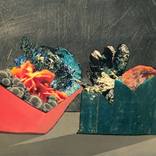 Natural History by miriam stern