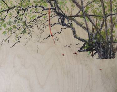 Original Fine Art Tree Drawings by Colin Mitchell