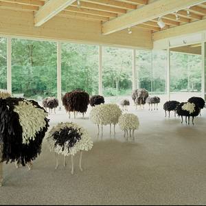 Collection Animal