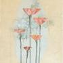 Collection Nature inspired motifs