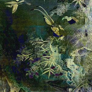 Collection Sarah Vernon