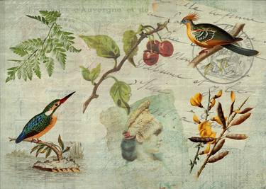 Original Botanic Collage by Sarah Vernon