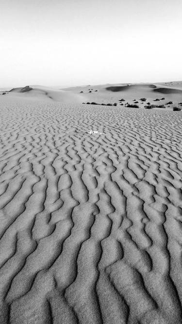black and white Alnofuth Desert thumb