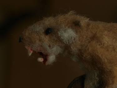 Stuffed weasel thumb