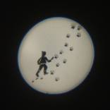 Collection Marina Fokidis