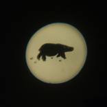 Collection 100 Curators Collection