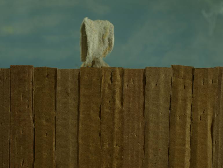 Original Folk Outer Space Photography by Hannah Taggart