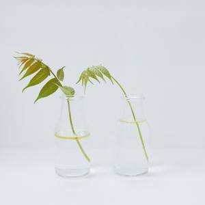 Listening Trees #3 (Limited Edition 2 of 10)