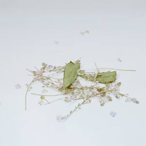 Listening Trees #5 (Limited Edition 2 of 10)