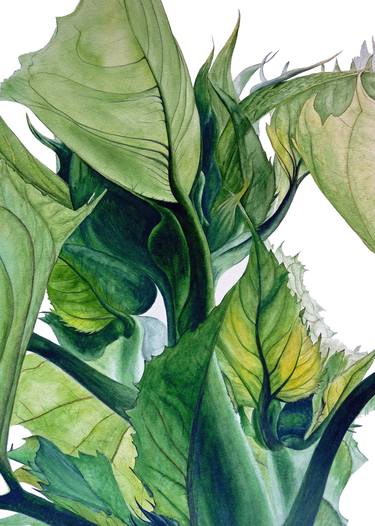 Saatchi Art Artist Marie Burke; Paintings, “Sunflower Leaves” #art