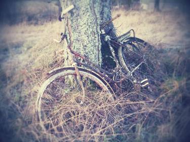Forgotten bicycle in December 1 thumb