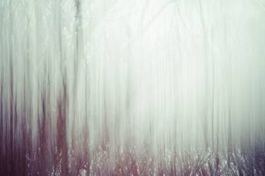 Print of Abstract Nature Photography by Johanna Amnelin