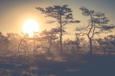 Sunrise at teijo National park thumb