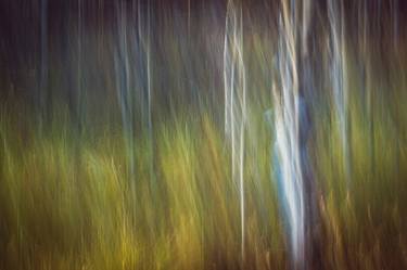 Print of Abstract Photography by Johanna Amnelin