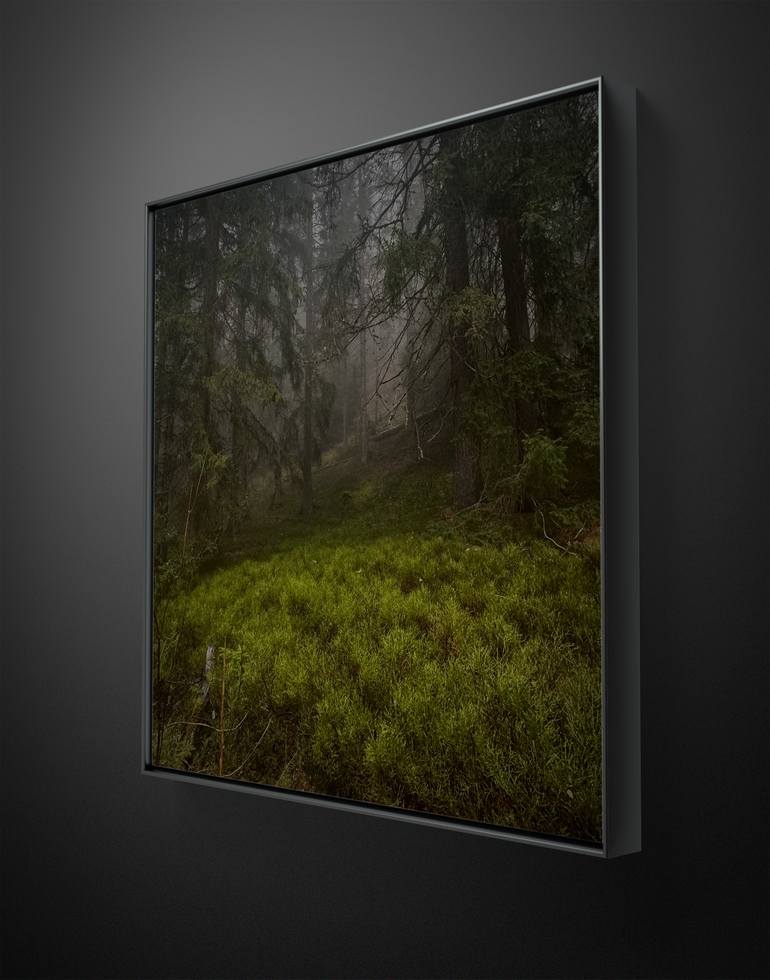 Original Figurative Landscape Photography by Adrianna Mjw
