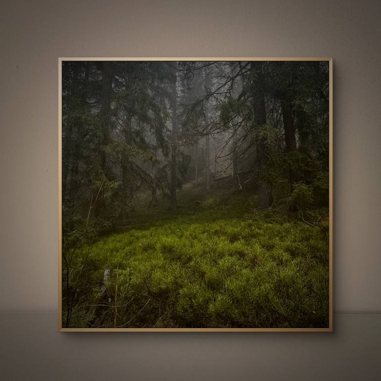 Original Figurative Landscape Photography by Adrianna Mjw