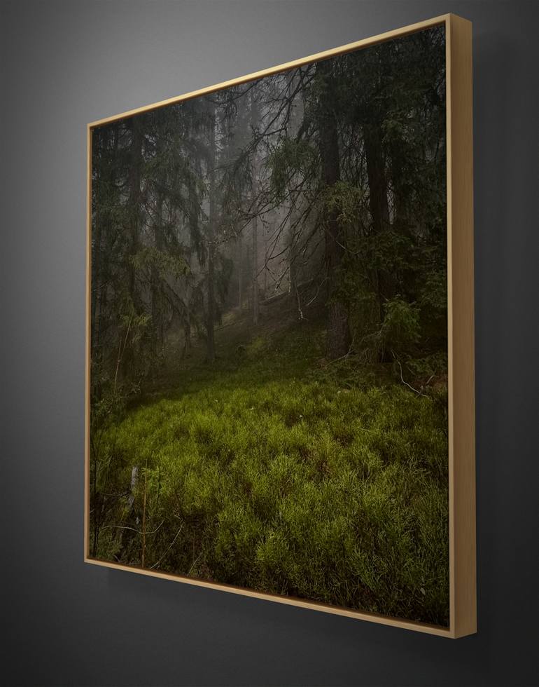 Original Figurative Landscape Photography by Adrianna Mjw