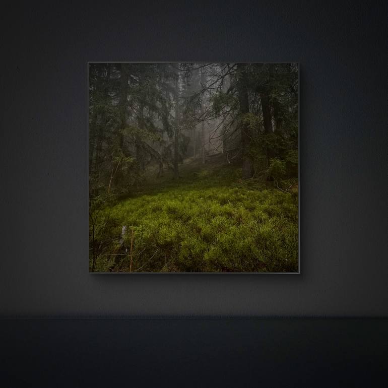 Original Figurative Landscape Photography by Adrianna Mjw
