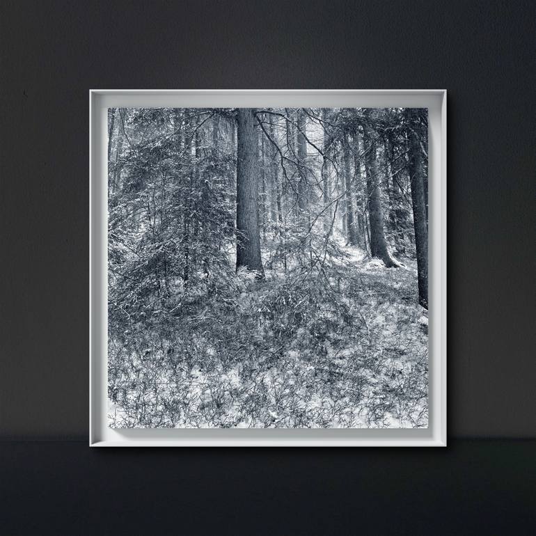 Original Figurative Landscape Photography by Adrianna Mjw