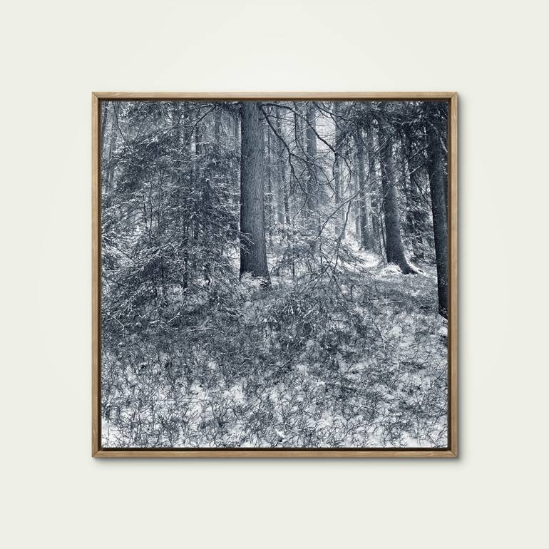 Original Figurative Landscape Photography by Adrianna Mjw