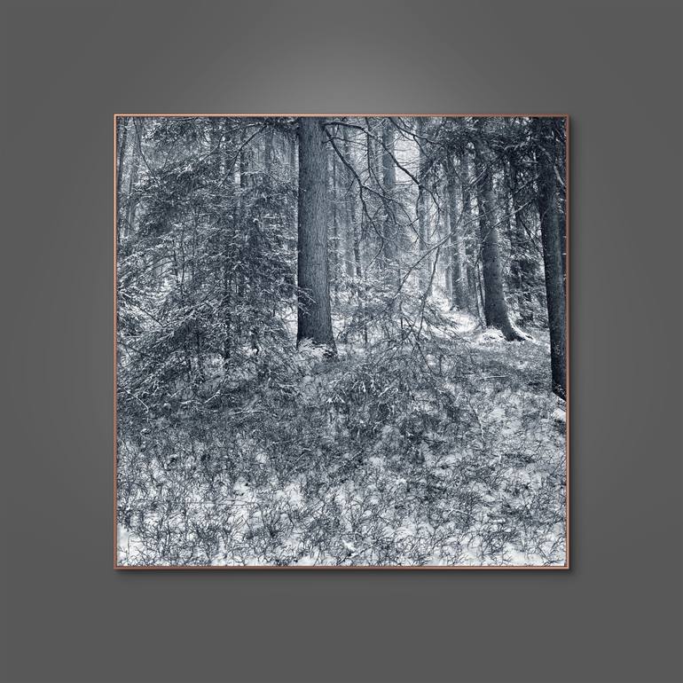 Original Figurative Landscape Photography by Adrianna Mjw