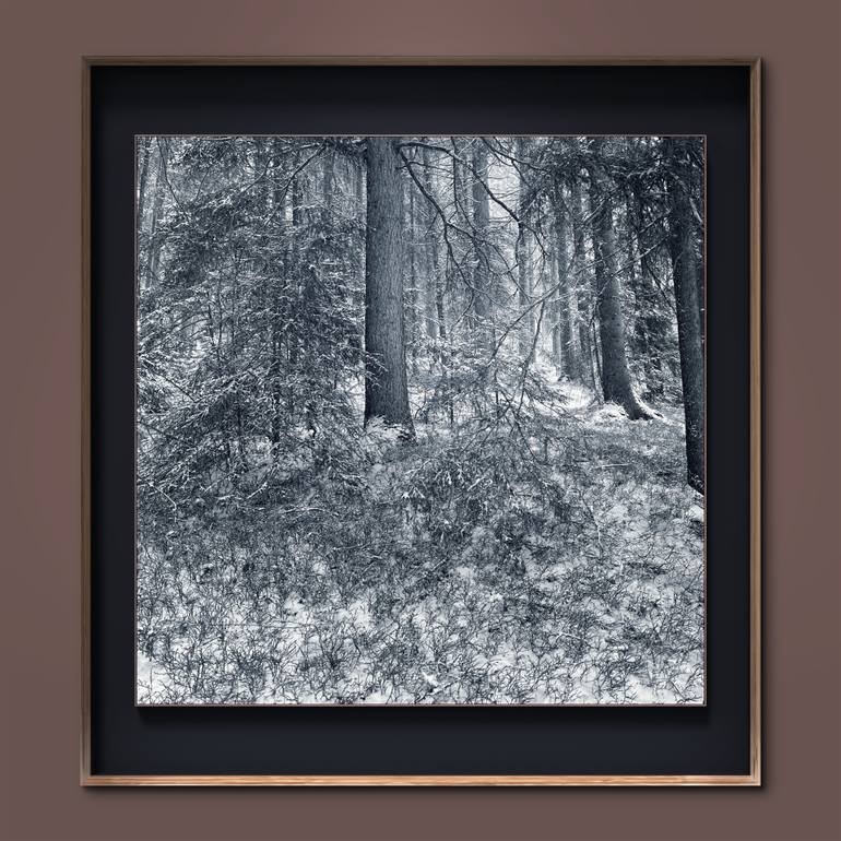 Original Figurative Landscape Photography by Adrianna Mjw