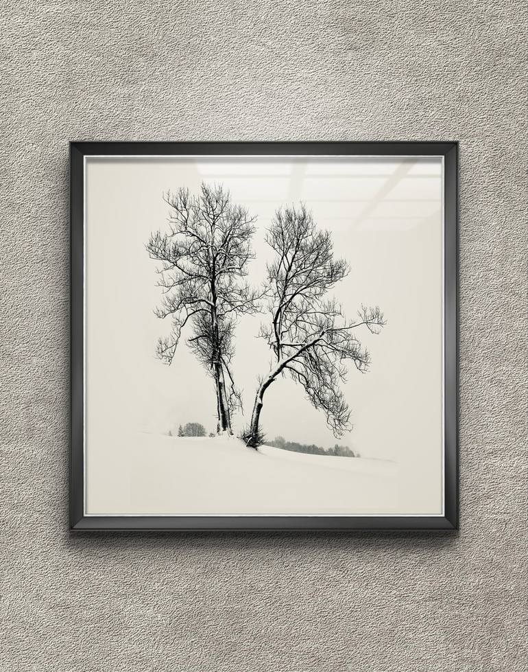 Original Realism Tree Photography by Adrianna MJW