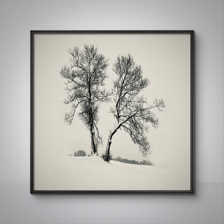 Original Realism Tree Photography by Adrianna MJW