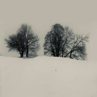 Saatchi Art Artist Adrianna Wojcik Muffat Jeandet; Photography, “Megève winter” #art