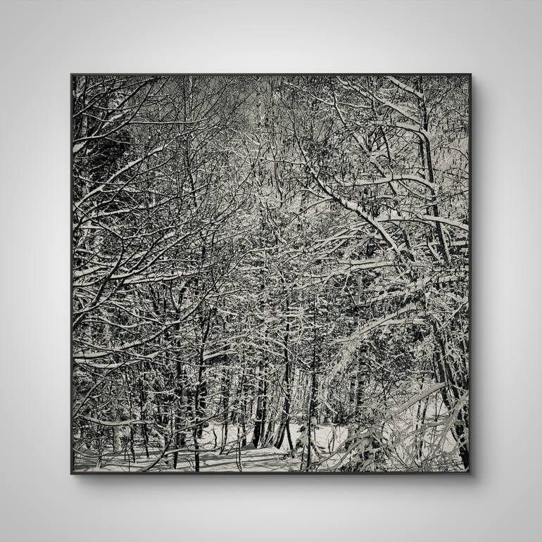 Original Figurative Landscape Photography by Adrianna Mjw