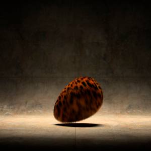 Collection Contemporary Surrealists 