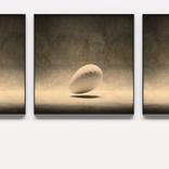 Collection Objects d'art / Cabinet of Curiosities