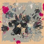 Natural Fragments by Teis Albers