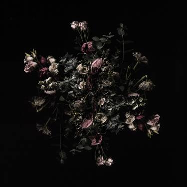 Original Figurative Floral Photography by Teis Albers