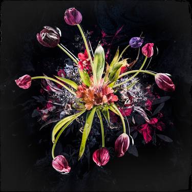 Original Fine Art Floral Photography by Teis Albers