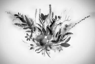 Print of Realism Floral Photography by Teis Albers