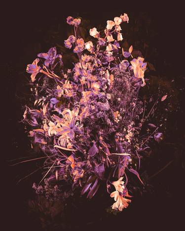 Original Photorealism Floral Mixed Media by Teis Albers