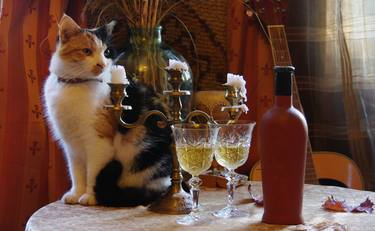 Cat and two glasses - Limited Edition 1 of 20 thumb