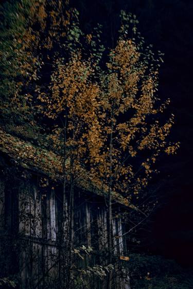 Original Realism Nature Photography by Miro  - Mfbj
