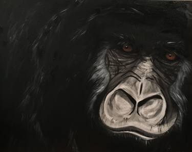 Original Animal Paintings by Michelle Randle