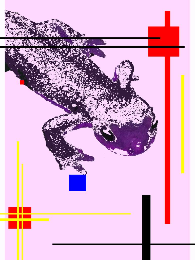 Ode to Mondrian: Salamander - Limited Edition of 5