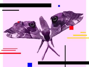 Ode to Mondrian Eyed Hawkmoth (WolfMoth) - Limited Edition of 5 thumb